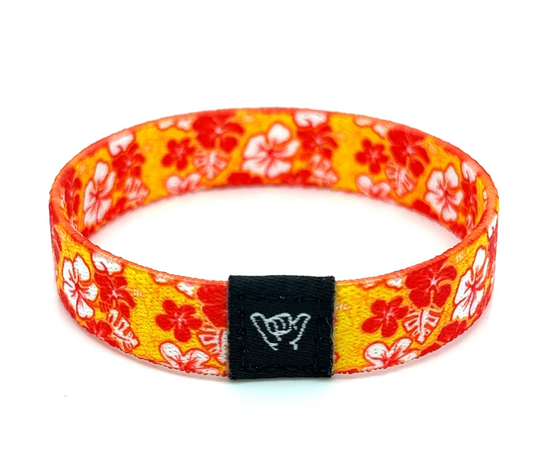 Hang Loose Bands- Summer Daze