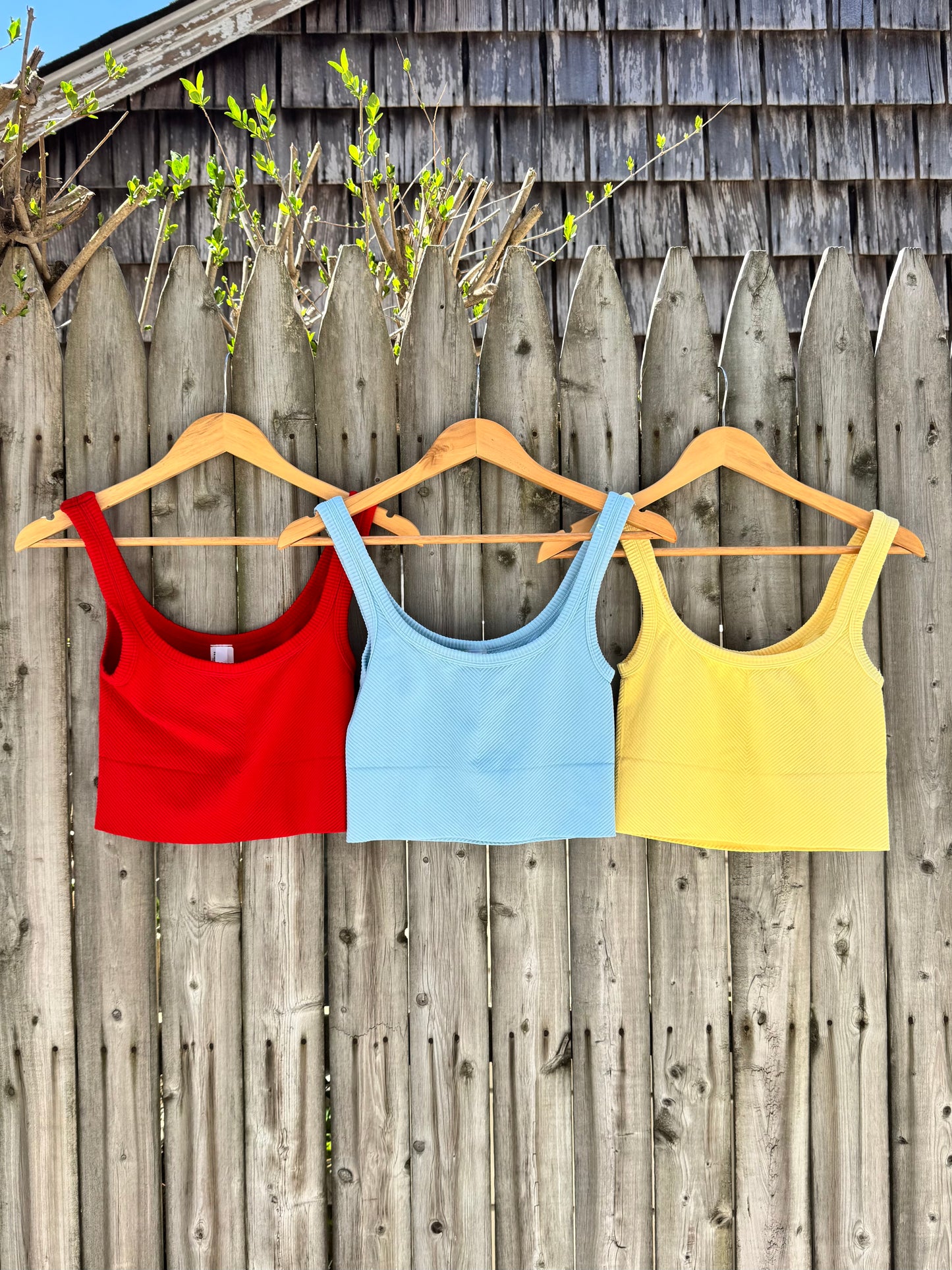 Chevron Ribbed Crop- Pale Lemon