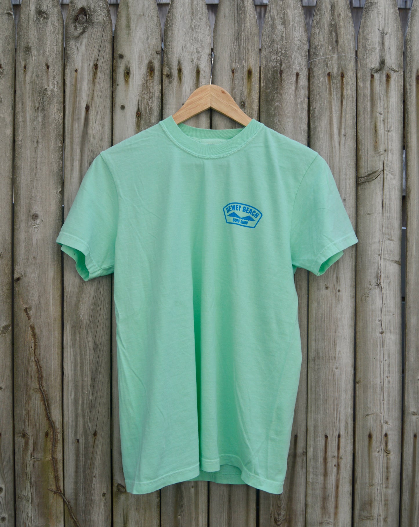 Blue Bridge Logo Tee- Island Reef