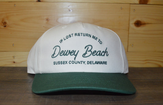 Cream/Spruce Return Me To Dewey Hat